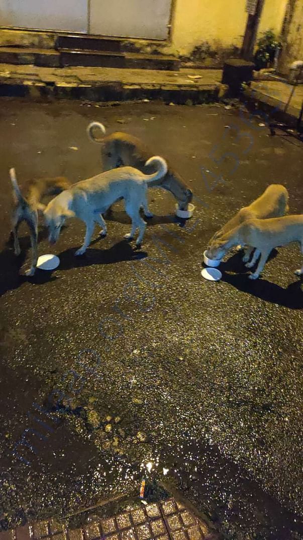 Night time feeding