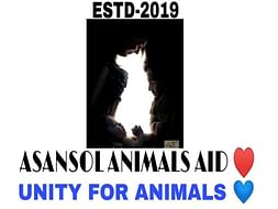 #Help For Make Animals Shelter