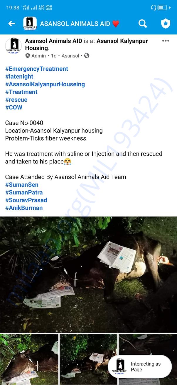Proof Of the Work for Voiceless Animals