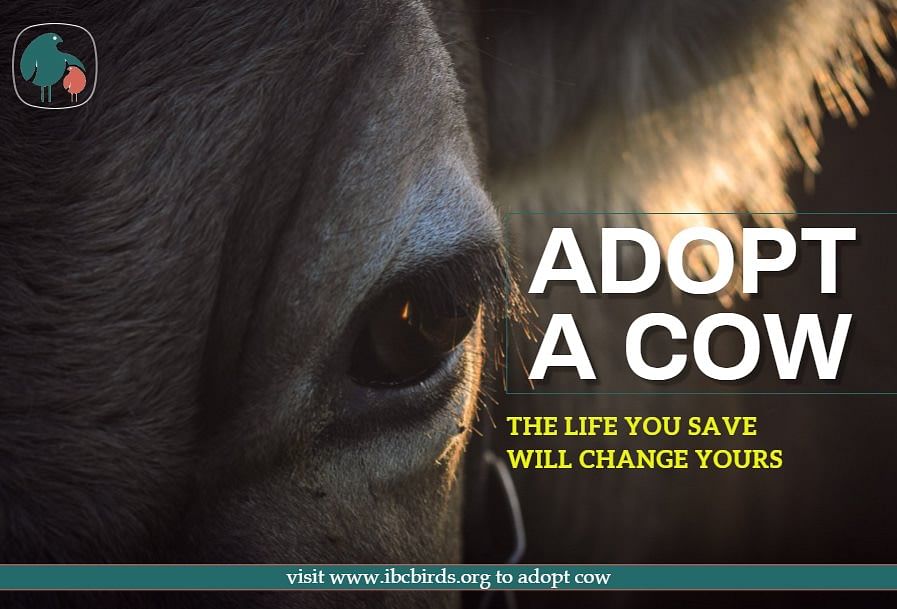 The Life you save, Will change yours