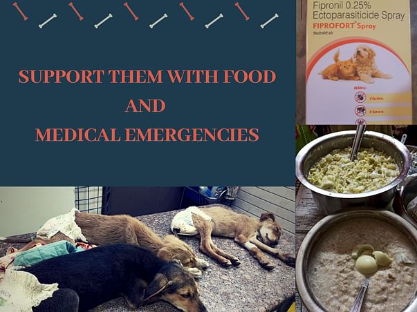 Support DOGS with Medical Emergencies and Food