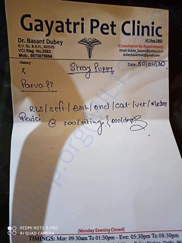 Prescription 2 (Parvo Case)