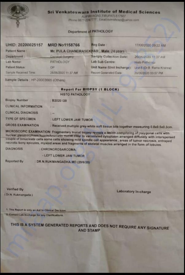 Report or biopsy