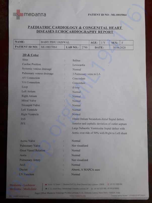 ECO Cardiology Report