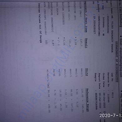 Medical Report