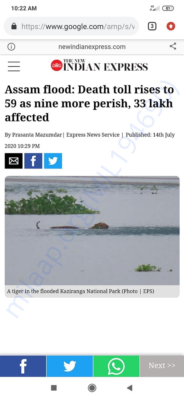 News Website