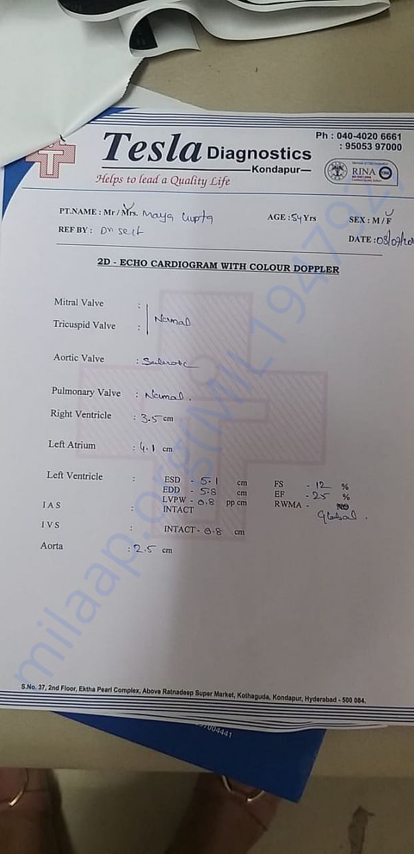 test report