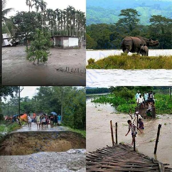 Flood in kaziranga national park