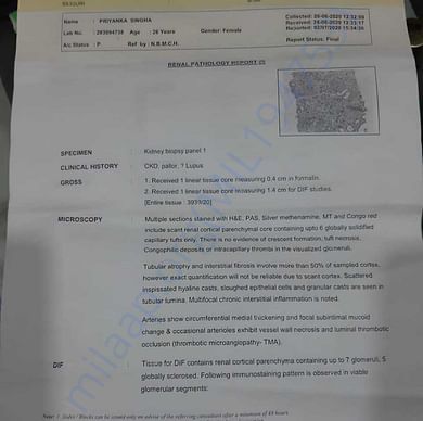 Medical Report