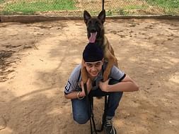 Collaring Strays With Reflective Collars|Save Dogs from Accidents