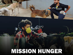 Mission Hunger Feeding Street Dogs