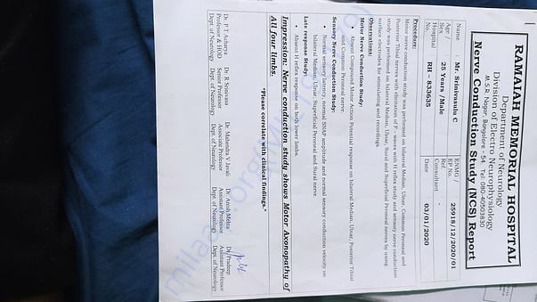 Nerve report