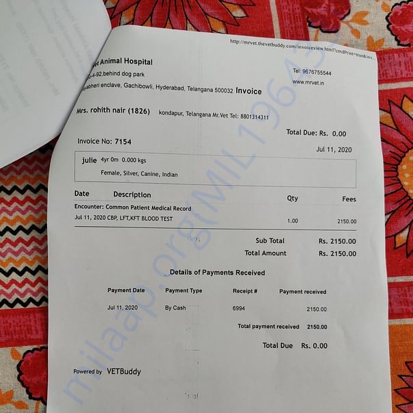 Medical Bill