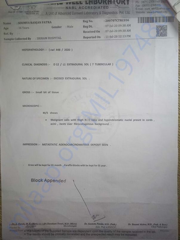 Tissue Test Report