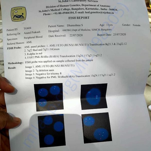 Medical Report