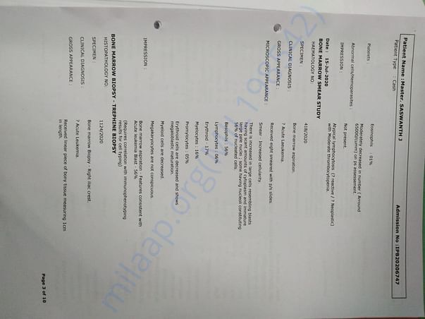 Pg2