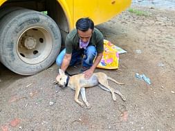 PACT Foundation Shelter Management Support