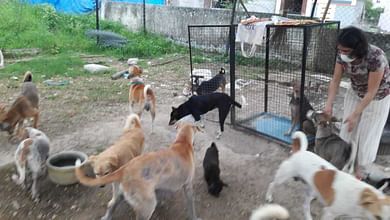 Shelter