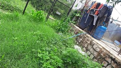 Grass Cleaning Area