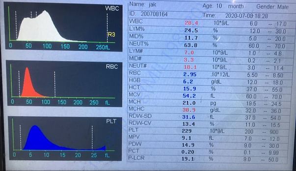 Blood reports