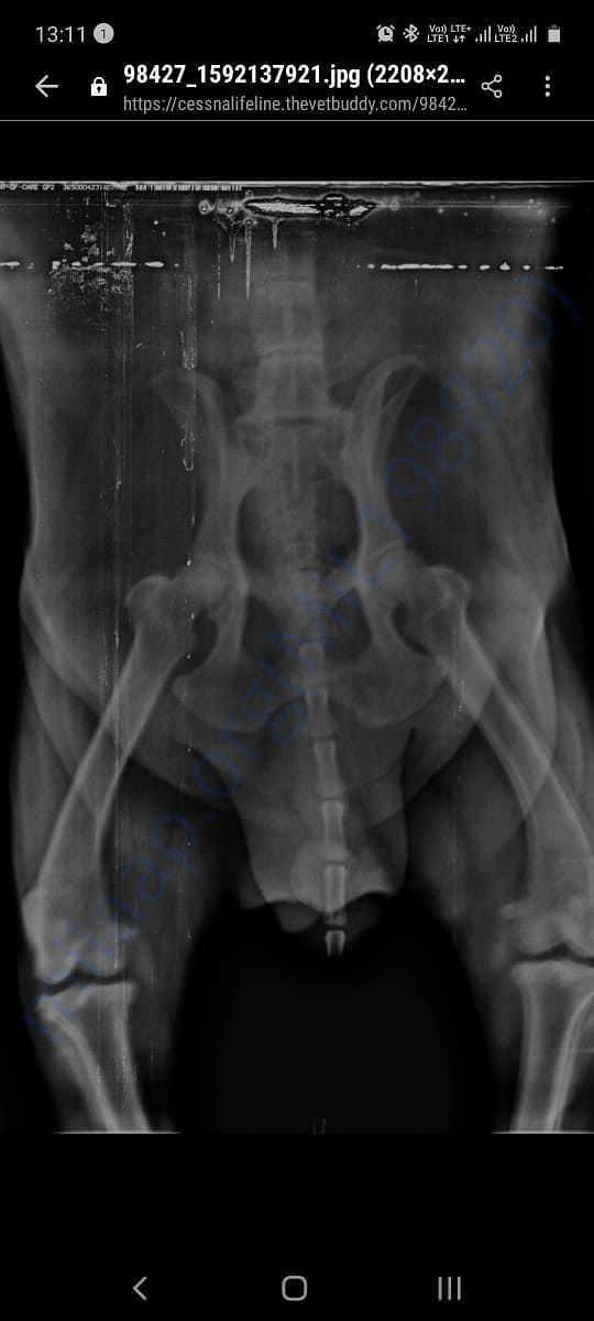 Xray