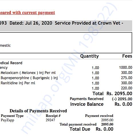 Medical Bill