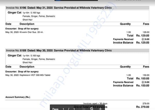 Medical Bill