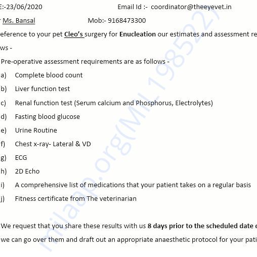 Medical Report