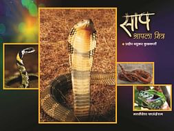 Help Me to Publish My Book "Snake is Your Friend"