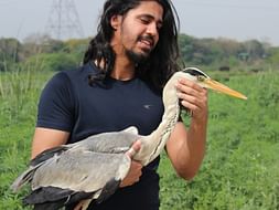 Help Wildlife, Conserve Nature