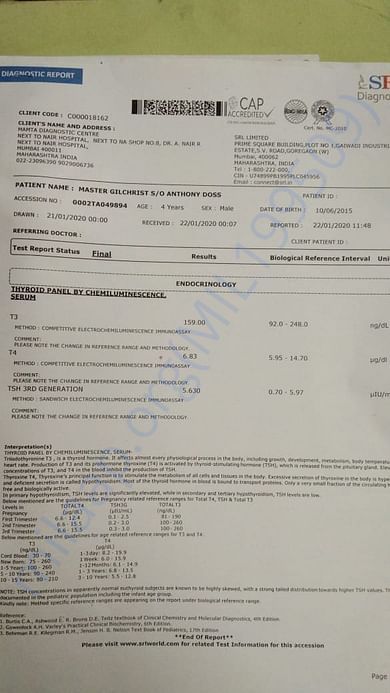 Report 4