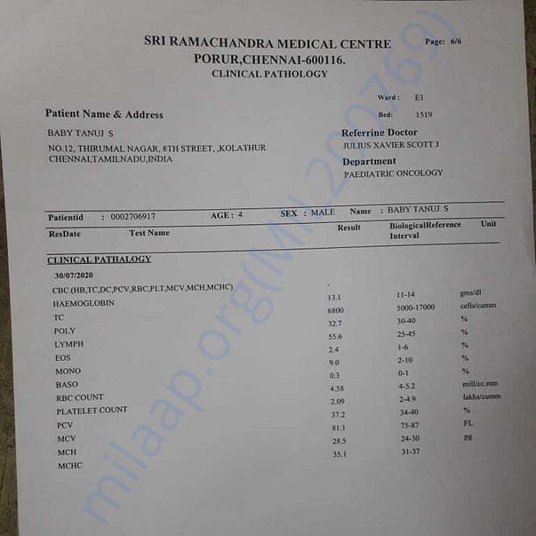 Medical Report