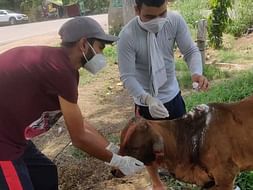 Help us to Treat Street Animals