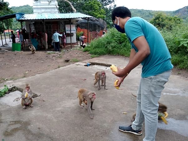 Donate Food for Monkeys @ Kondagattu