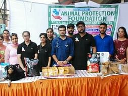 Animal Protection Foundation
