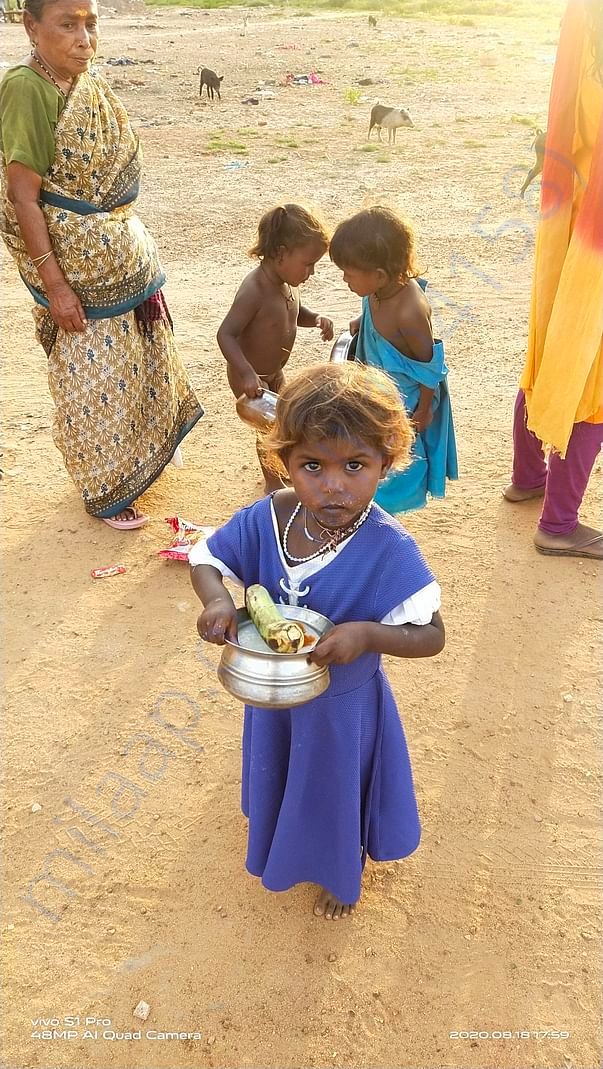Love All Feed All
