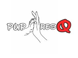 HELP OUR INDIE DOGS FOR FOOD/MEDICAL HELP/ STERILISATION
