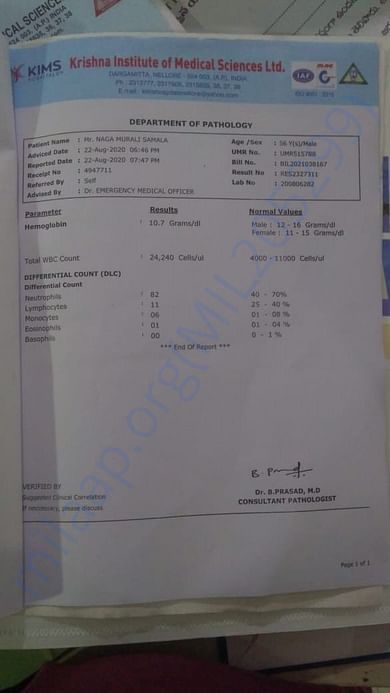 Blood Report