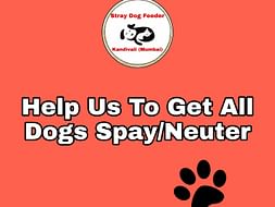 HELP US TO GET ALL OUR DOGS SPAY&NEUTER