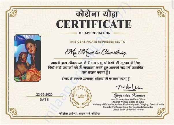 Certificate for serving them during Corona in my pregnancy