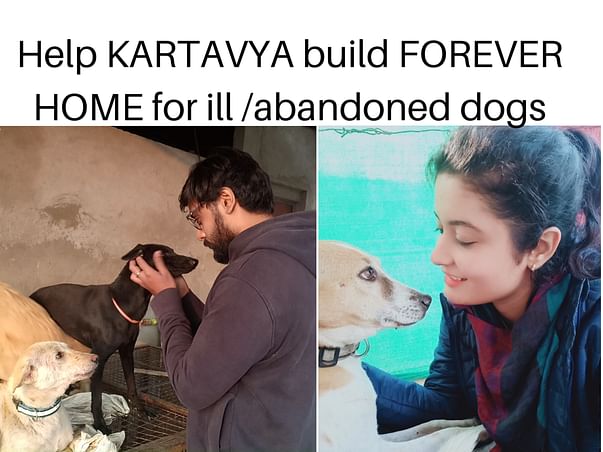 Help us build FOREVER HOME for ill /abandoned dogs