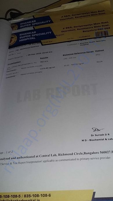 Report