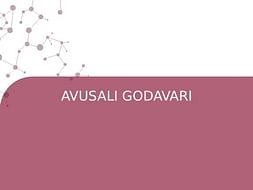 AVUSALI GODAVARI