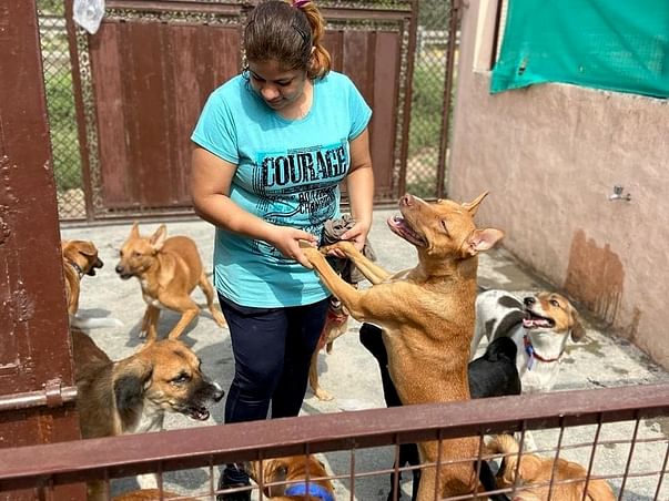 Support Neha To Help Voiceless Souls