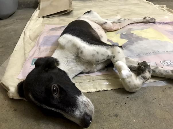 Saving RIO from being Paralysed