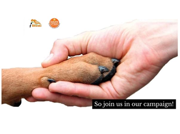 Pet Care🐕: Don't Wait Vaccinate💉