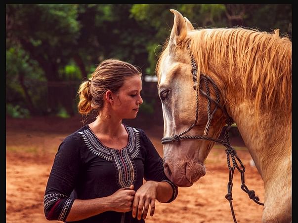 Help Horse2Human be Ready for the Rainy Season