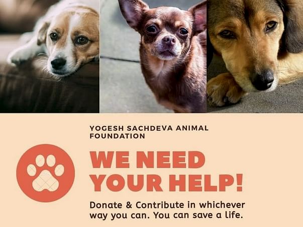 HELP LAKSHYA RAISE FUNDS FOR MEDICAL CASES AND STERLIZATION