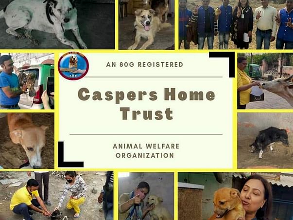 Help Casper's Home to complete the construction of their new shelter