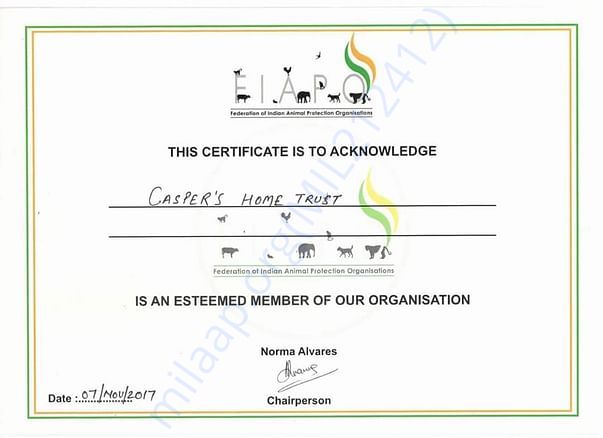FIAPO membership